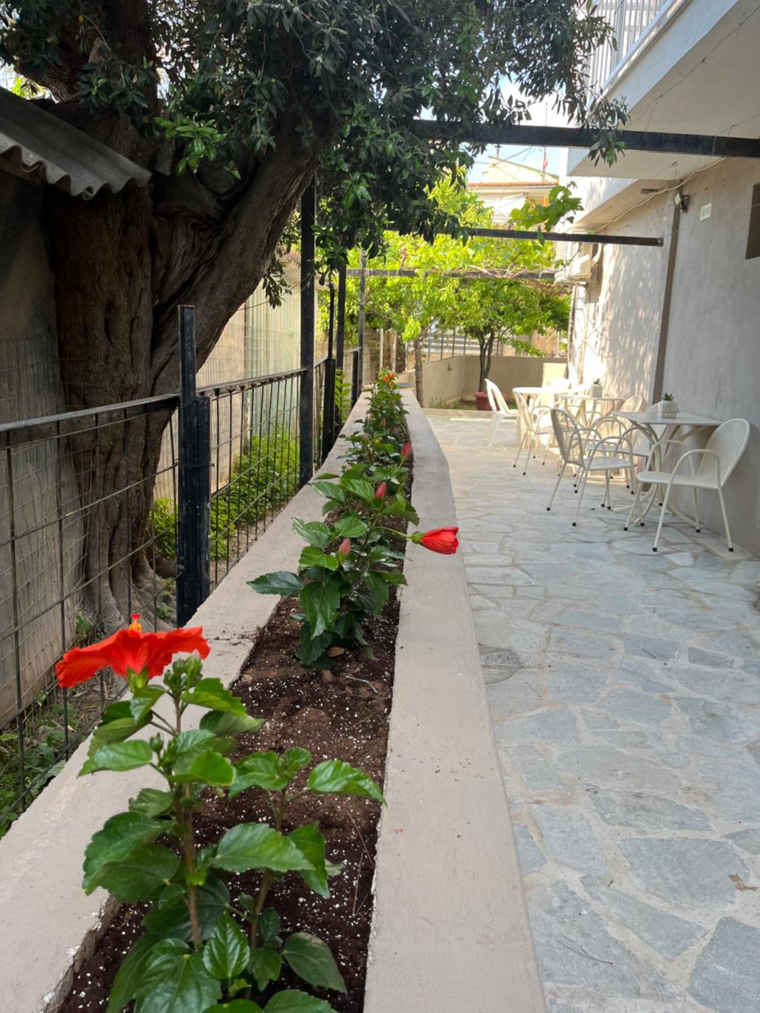 Grecian Sea Hotel Limenaria  Exterior photo